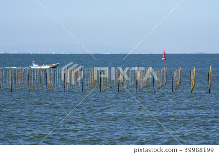 Views of the mudflats of Matsusaka City 39988199