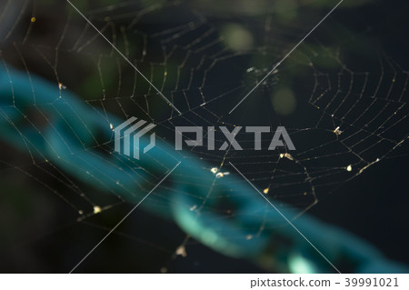 Spider network - a blue chain in the background 39991021