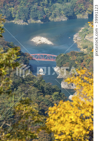 Gorge of autumn leaves Shinto Gorge Gorge of autumn leaves Shinto Gorge 39991123