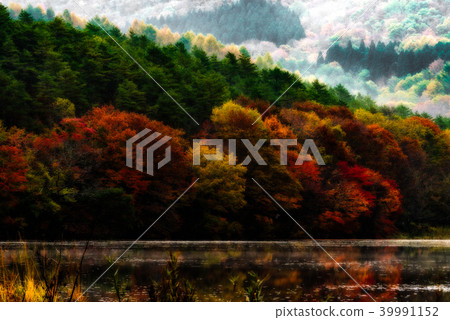 Kannon Numed foliage Kannon Numed foliage 39991152