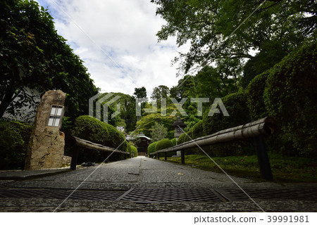 金突擊隊Komyoji Towa頭部的paticule 39991981