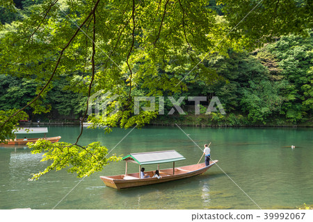 保津川上的新鮮綠色嵐山和船屋 39992067