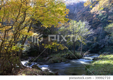Aratsuki Gorge Koshtsu，石川縣的秋葉 39992710