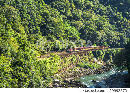 嵯峨野觀光列車和保津川流經保津峽的清新綠地 嵯峨野觀光列車和保津川流經保津峽的清新綠地 39992873