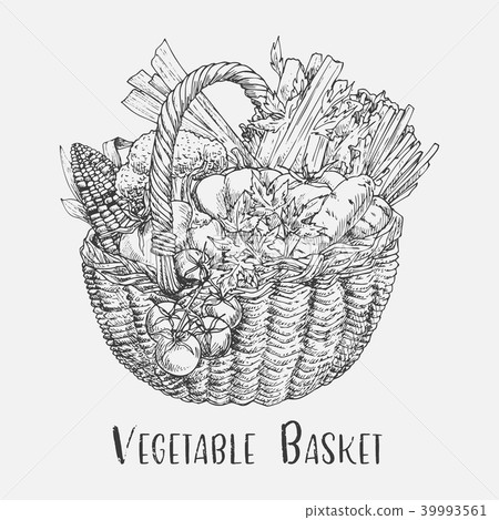 Sketch of tomato and corn, broccoli in basket Sketch of tomato and corn, broccoli in basket 39993561