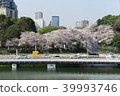 東京環路和櫻花 39993746