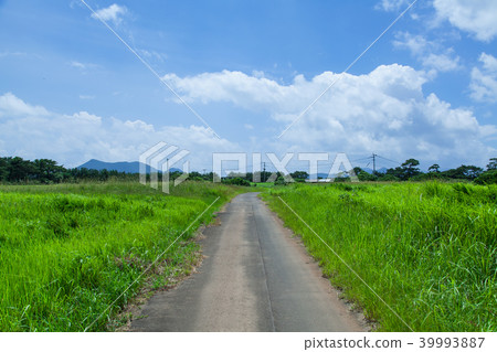 夏天的天空和地球 39993887