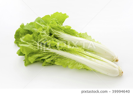 桑托尼亞 39994640