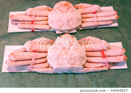 Red Snow crab with grace (thin ice film) on the surface Red Snow crab with grace (thin ice film) on the surface 39994647