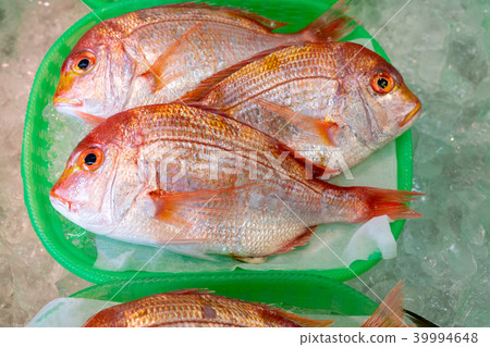 Sea bream Sea bream 39994648