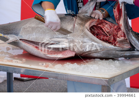 生金槍魚拆遷展 生金槍魚拆遷展 39994661