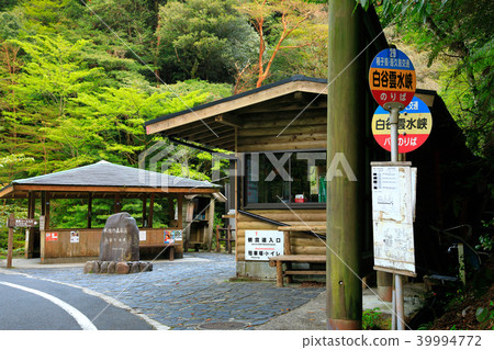 春天的屋久島Shiratani Unsuikyo巴士站 春天的屋久島Shiratani Unsuikyo巴士站 39994772