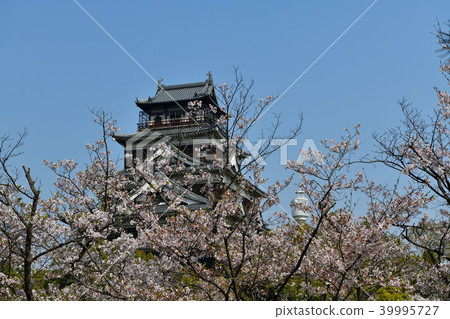 Spring Hiroshima Castle 39995727