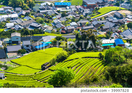 "Shizuoka Prefecture" A village of tea plantations "Shizuoka Prefecture" A village of tea plantations 39997828