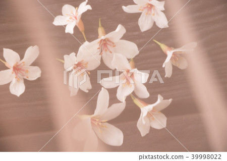 Ayuhana Kaki-Chotensu-ji寺，提供omon，輕便的旅行，風景 39998022