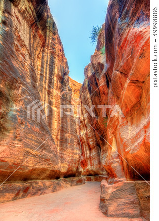 Road inside the Siq Canyon at Petra 39998886