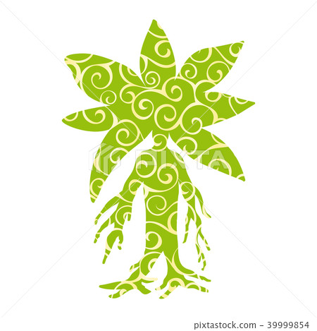 Mandragora plant pattern silhouette ancient mythical fantasy 39999854