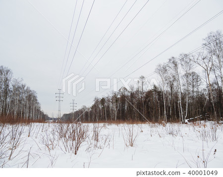 Power line towers Losiny Ostrov Park. Moscow 40001049