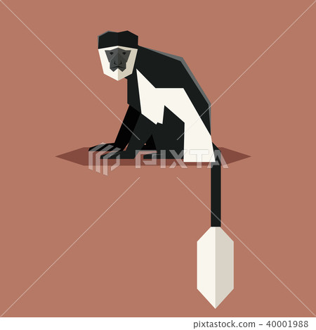 Flat geometric Colobus Flat geometric Colobus 40001988