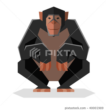 Flat geometric Chimpanzee Flat geometric Chimpanzee 40001989