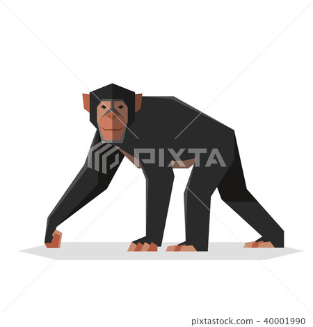Flat geometric Chimpanzee Flat geometric Chimpanzee 40001990