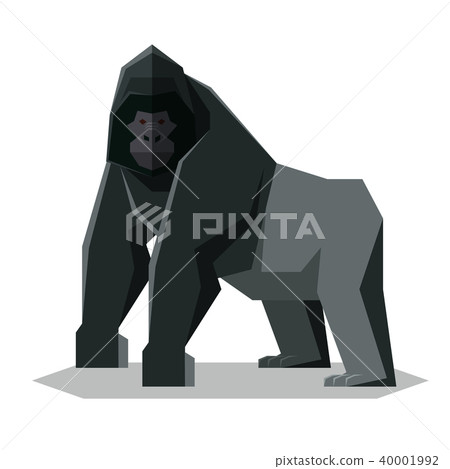 Flat geometric Gorilla 40001992