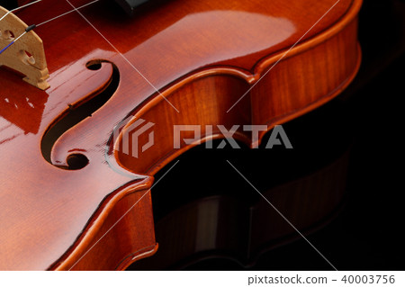 Violin Violin 40003756