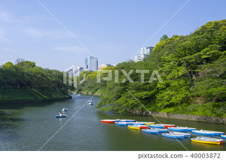 Chidorigafuchi lined with colorful boats 40003872