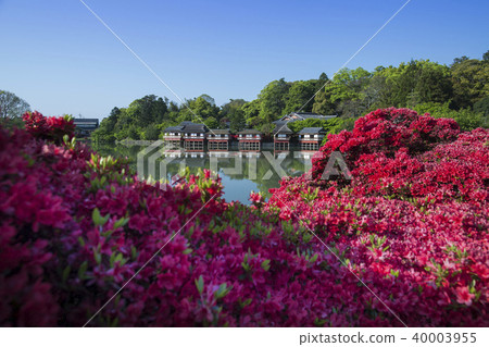 Nagaoka Tenmangu / Hachijo池塘 40003955