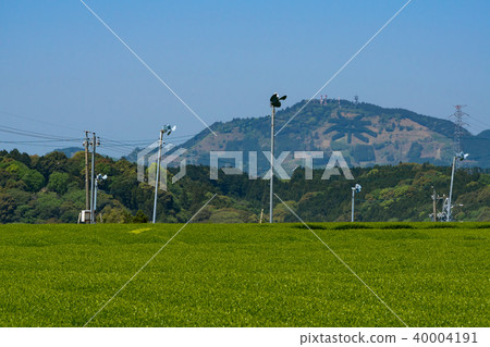 Mt. Kasumigatake and tea plantations "cha" mountain Mt. Kasumigatake and tea plantations "cha" mountain 40004191