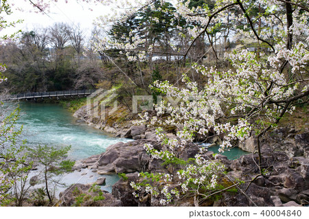春天的石垣河岩手縣 春天的石垣河岩手縣 40004840