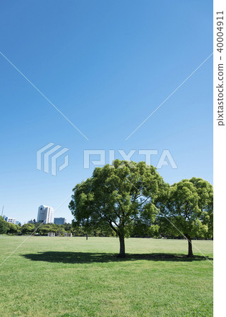 A large park where a skyscraper can be seen 40004911