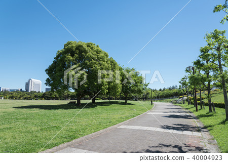 Park's promenade 40004923