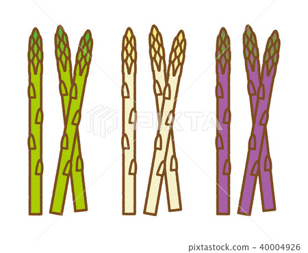 Asparagus_ brown line Asparagus_ brown line 40004926