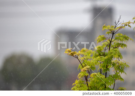 多雨的學校 多雨的學校 40005009