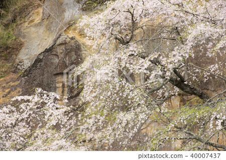 春天,岩手縣岩野縣 春天,岩手縣岩野縣 40007437