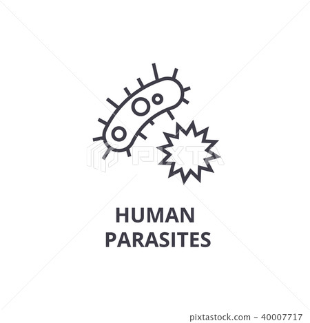 human parasites thin line icon, sign, symbol, illustation, linear concept, vector  40007717