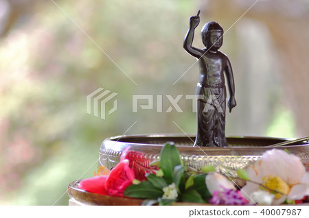 Flower Festival Flower Festival 40007987