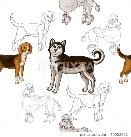 Seamless pattern with dogs. Hand drawn dogs - Stock Illustration ...