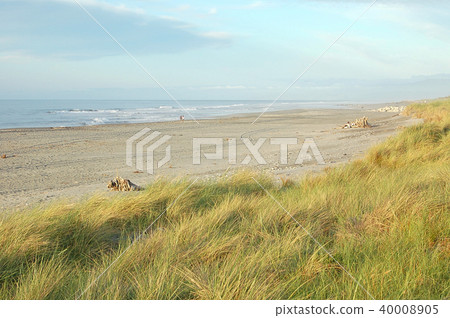 Hokitika Beach - West Coast 40008905