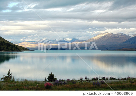 Lake Tekapo - South Island 40008909