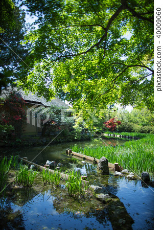 梅宮大社 40009060