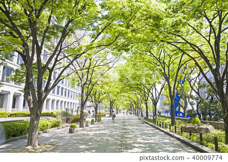 新鮮的綠色隧道 40009774