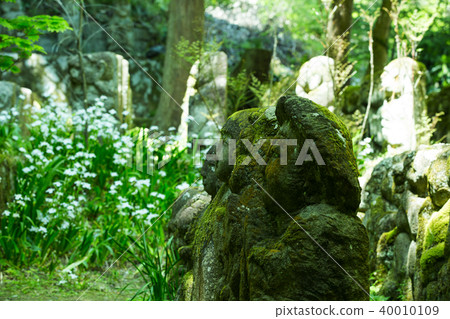 Aishinen Buddha Temple in early summer 40010109