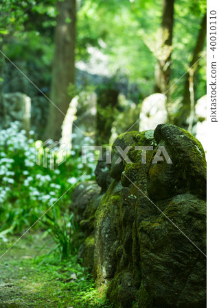 Aishinen Buddha Temple in early summer 40010110