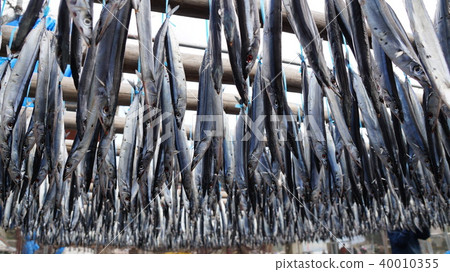 Braised saury 40010355