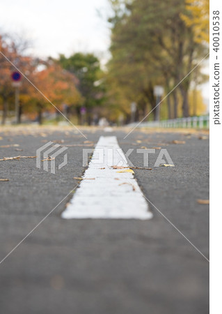 Road center line Road center line 40010538