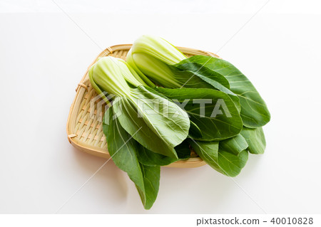 滋補白菜 滋補白菜 40010828