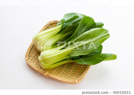 滋補白菜 滋補白菜 40010831
