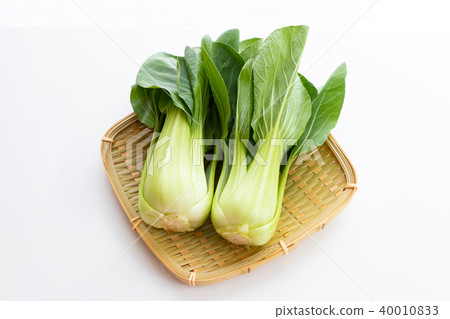Nourishing bok choy 40010833